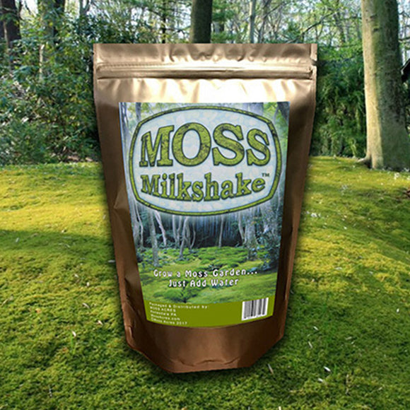 Moss Fragments / 