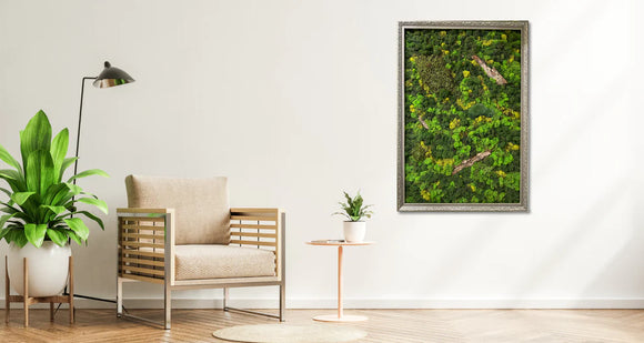 A Forest Symphony - Framed Moss Wall Art Piece: 24