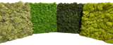 DIY Natural Moss Tile- Interior Wall Features (Light Green)