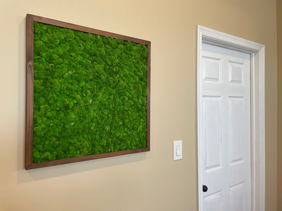Natural Moss Framed Wall Art 25