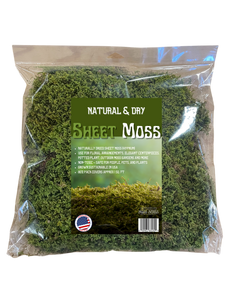 Sheet Moss (Hypnum) Natural & Dry