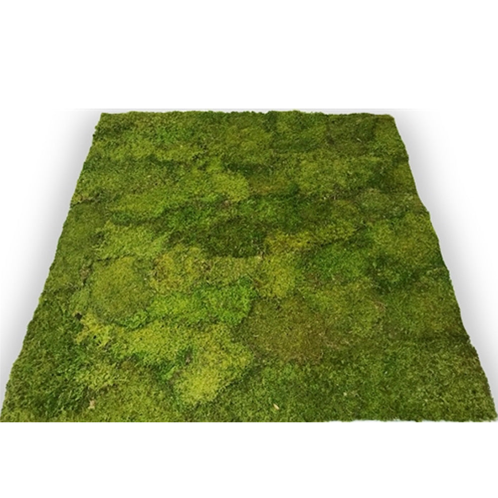 How To: Moss Carpet 