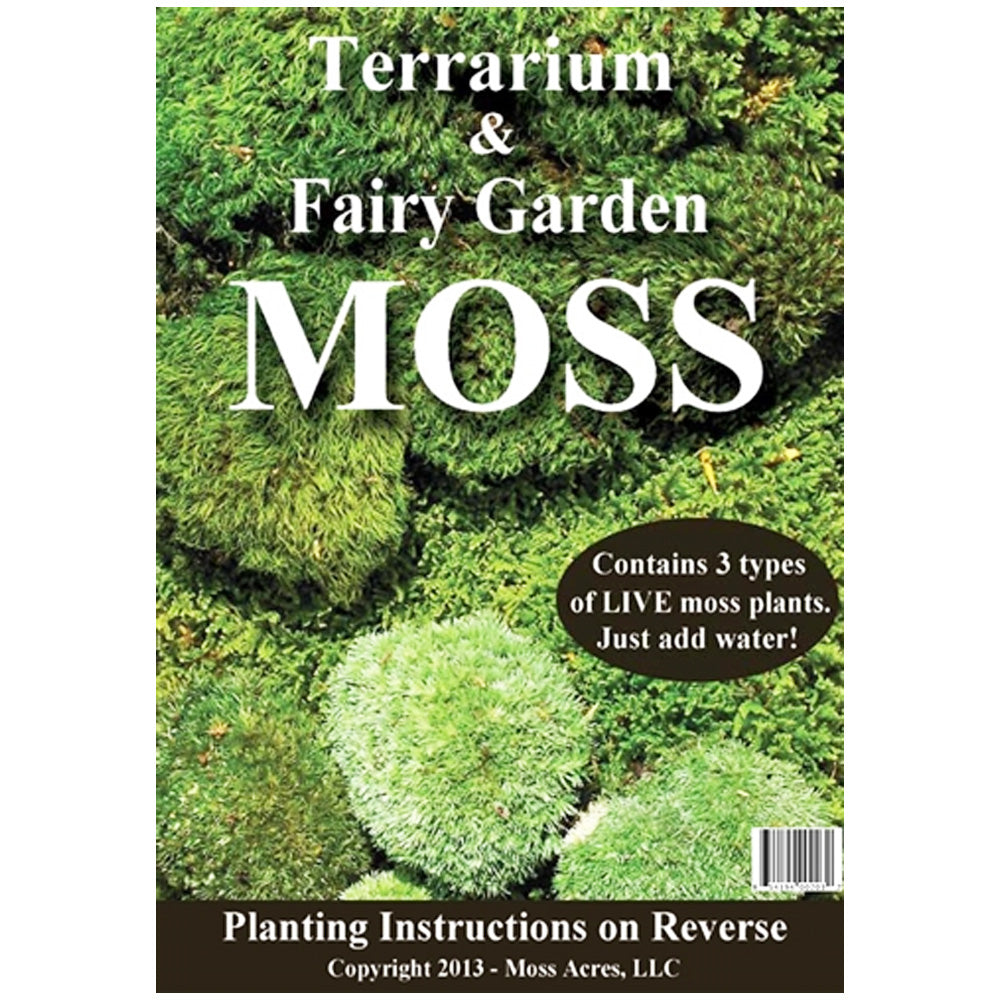 Live Moss 4 Bags of Sampler Pack of Different Types of Living Moss  Terrariums All Natural 