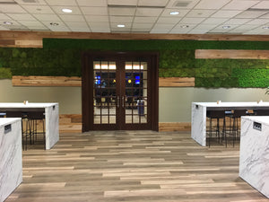 Moss Wall For Anheiser Busch Corporate Cafetaria