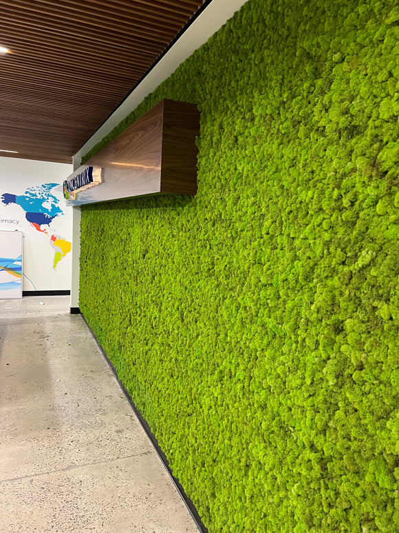 Why a moss wall?