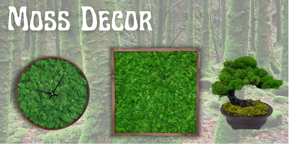 Moss Decor – Moss Acres