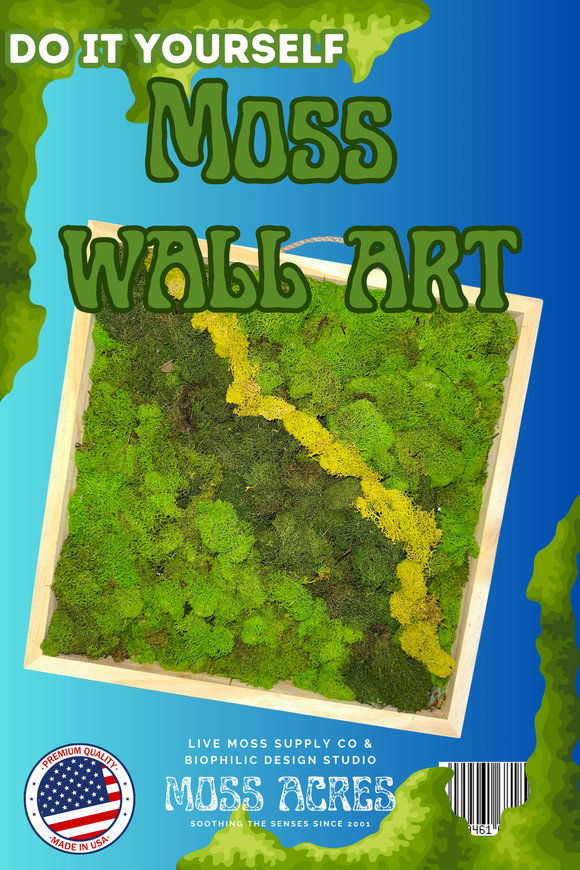 MossAire: Live Moss Wall Air Filter & Stress Relief – Moss Acres