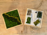 DIY Moss Art Kit Wall Decor 12”x12”