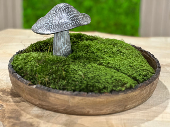 Moss bowl  Moss decor, Mini zen garden, Moss centerpieces