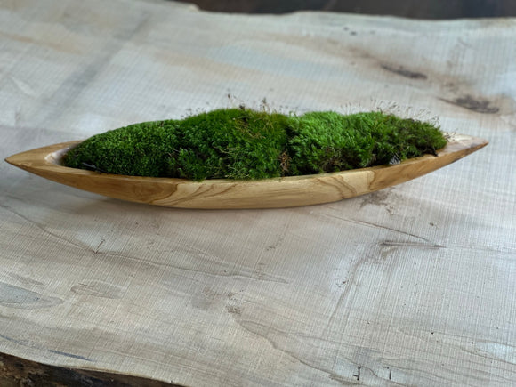 Enchanted Forest Mood Moss Bowl