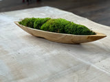 Enchanted Forest Mood Moss Bowl