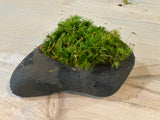 Pet Moss Rock Home Decor