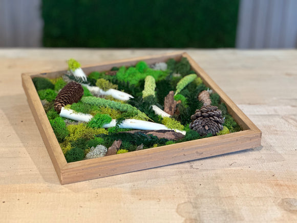 Enchanted Forest: Handcrafted Moss Wall Art - 1x1ft