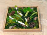 Enchanted Forest: Handcrafted Moss Wall Art - 1x1ft