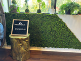 DIY Natural Moss Wall Tile- Interior Wall Features (Forest Mix)