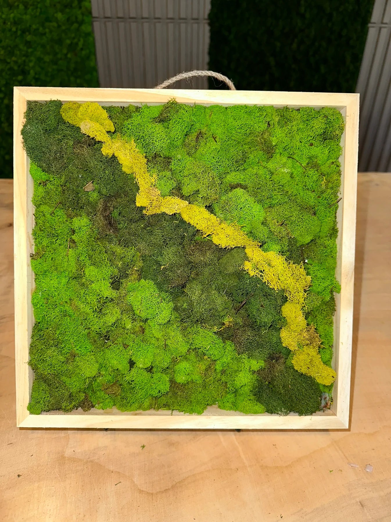 DIY Moss Art Kit Wall Decor 12”x12” – Moss Acres