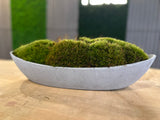 Modern Concrete-Style Moss Vessel