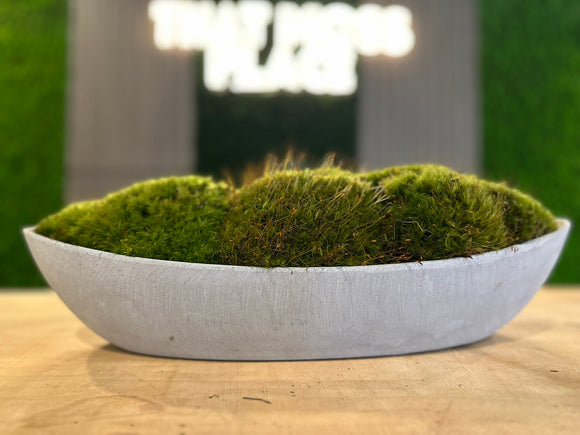 Gratia Moss Bowl – The Happy Home