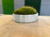 Stone Serenity Moss Bowl