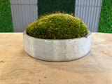 Stone Serenity Moss Bowl