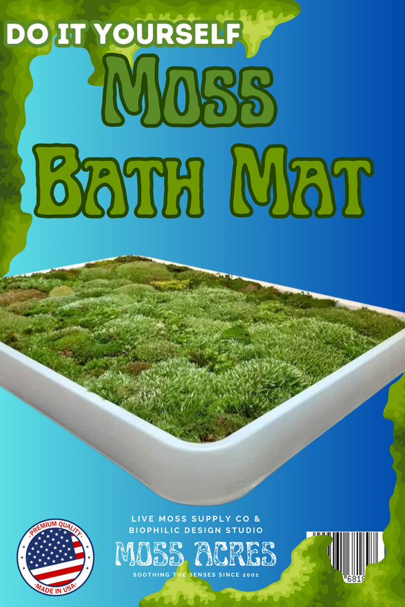 Moss Bonsai - Moss Desktop Round Bonsai - Mossartify