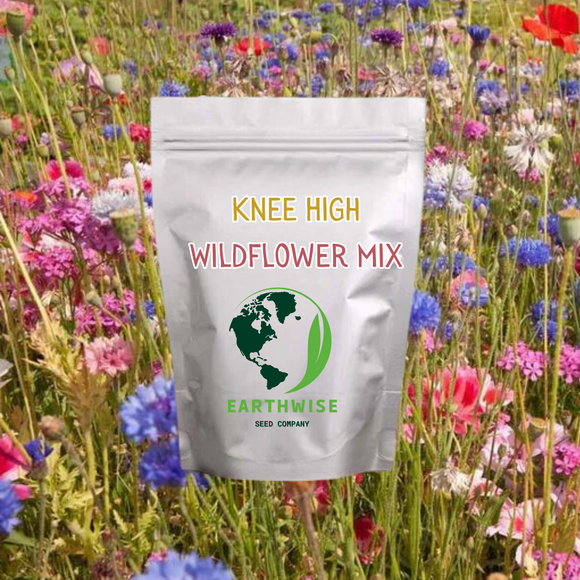 Knee High Native Wildflower Meadow Blend