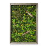 A Forest Symphony - Framed Moss Wall Art Piece: 18"x 24"