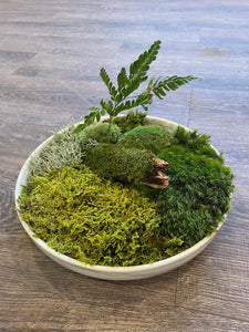 DIY TableTop Moss Garden Kit