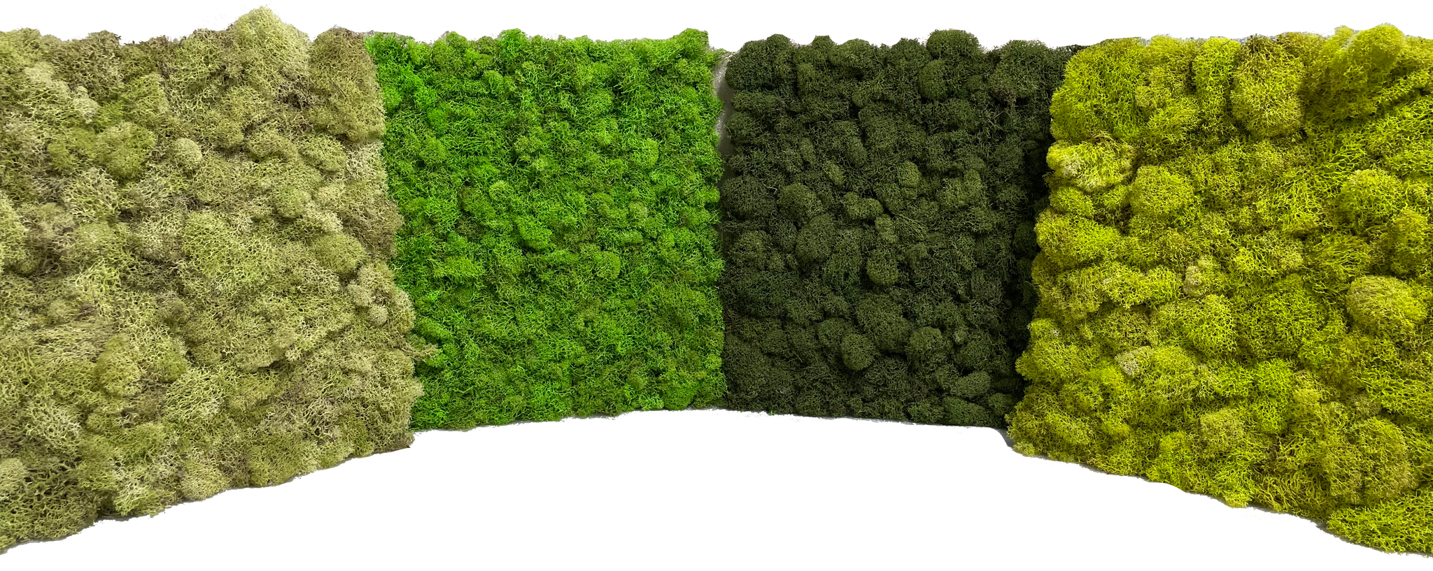 Patterns in Nature Preserved Moss Wall - 100% Real and Maintenance-free  Moss Wall