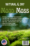 Mood Moss (Rockcap) Natural & Dry