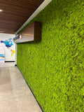 DIY Natural Moss Wall Tile- Interior Wall Features (Spring Green)