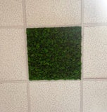 Natural Moss Acoustic Ceiling Tile