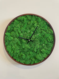 Natural Moss Wall Clock