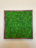 Natural Moss Framed Wall Art 25" x 25"