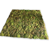 Live Moss Mats for Sun or Shade