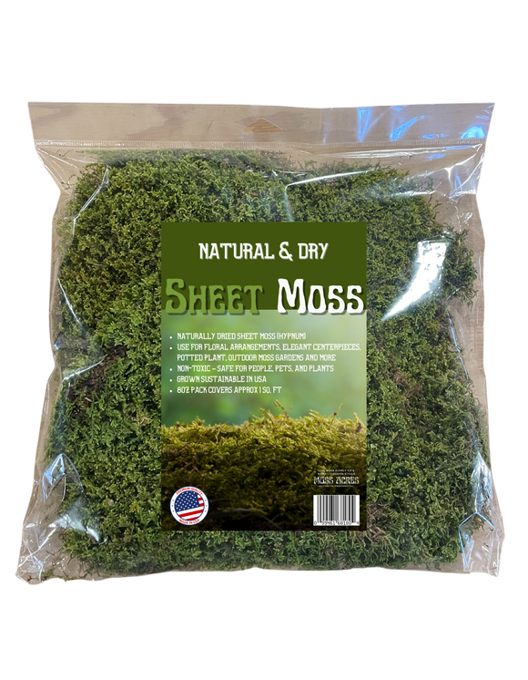 Preserved Spanish Moss Spring Green 16oz Retail - 12 pack