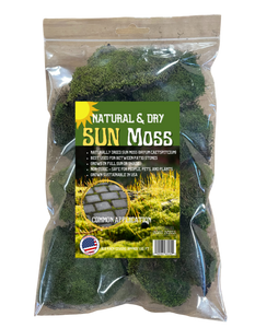Sun Moss (Bryum Caetspitcium) Natural & Dry 8oz Retail - 12 pack