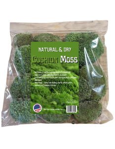 Cushion Moss (Leucobryum) Natural & Dry
