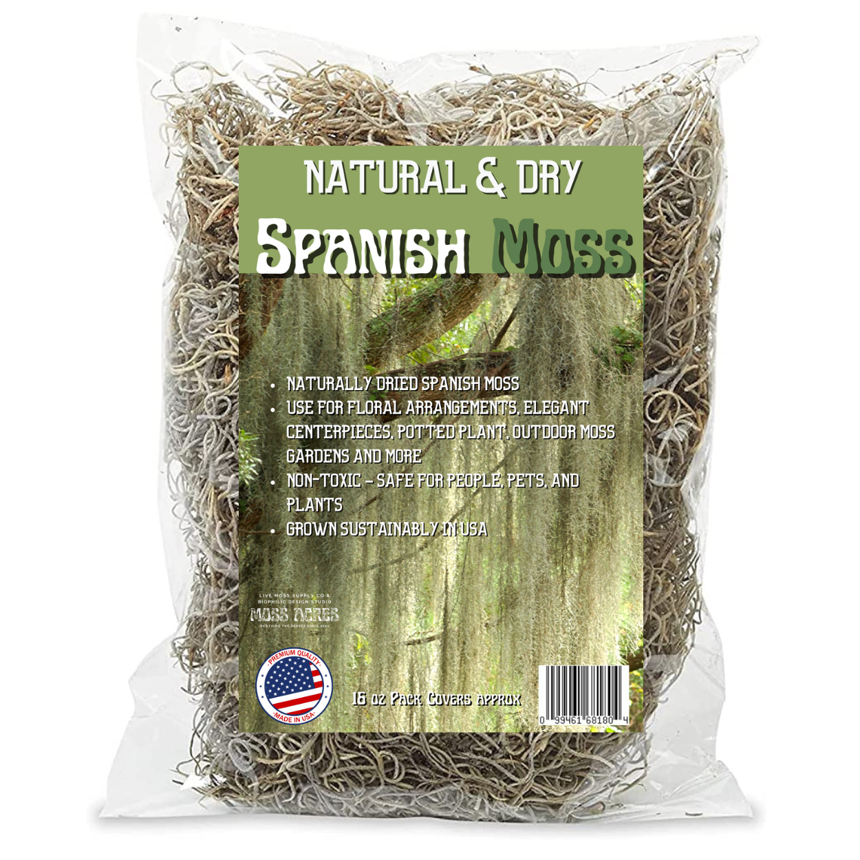 Spanish Moss Handbook - Everything You Need To Know - Moss & Stone