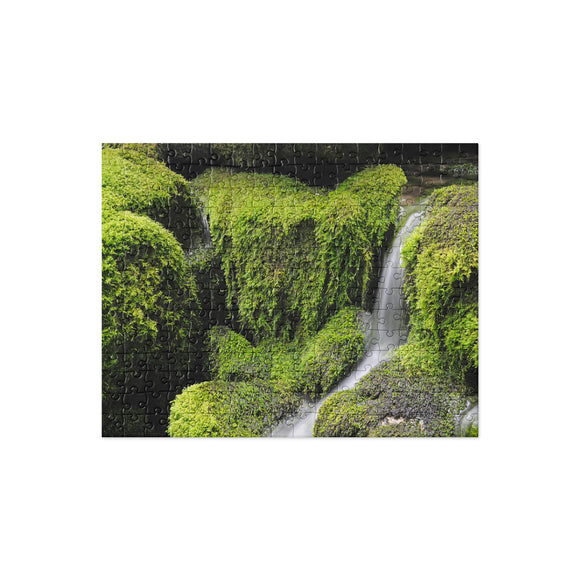 Tranquility of Moss - Jigsaw puzzle