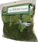 Live Moss Garden Pack 1/2 Case