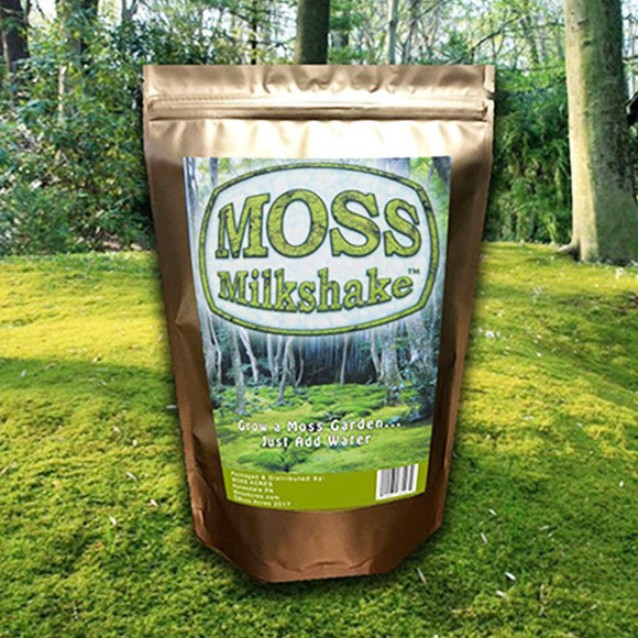⭐ BEST POTTING MIXES - Spanish Moss in Spring Green Natural Preserved -  Great Ground Cover - Filler for Potted Plants - by ://N ☆ LOVA - 3 Quart  Bag 