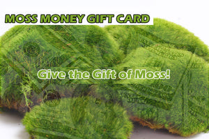 Moss Acres Gift Card