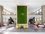 DIY Natural Moss Tile- Interior Wall Features (Dark Green)