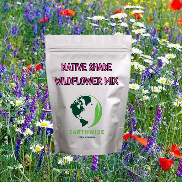 Shady Native Wildflower Mix
