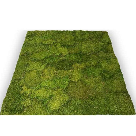 Bunk House Forest Floor Outdoor Mat With Stakes - Moss Danforth