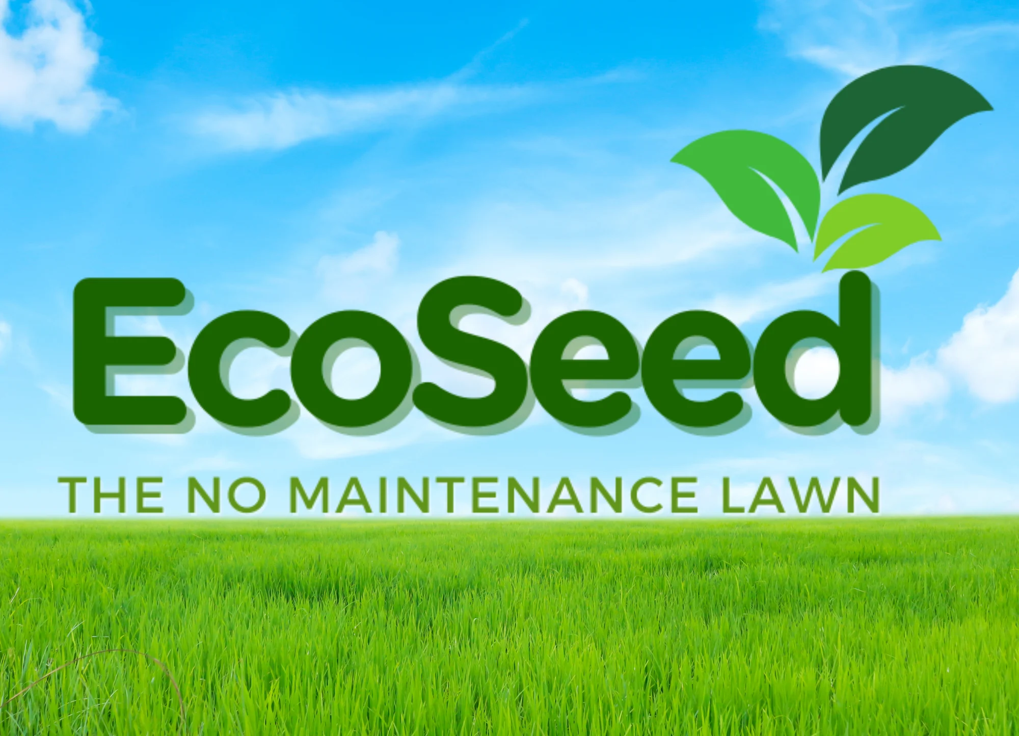 EcoSeed logo
