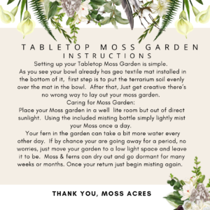 DIY TableTop Moss Garden Kit - Image 5