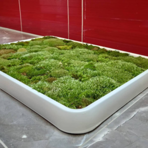 DIY Moss Bath Mat Kit: Transform Your Bathroom - Image 3