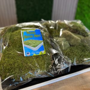 DIY Moss Bath Mat Kit: Transform Your Bathroom - Image 2